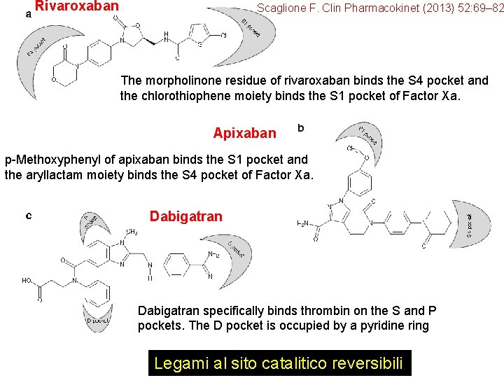 Rivaroxaban Scaglione F. Clin Pharmacokinet (2013) 52: 69– 82 The morpholinone residue of rivaroxaban