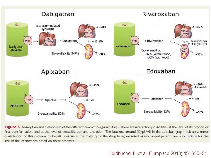 Heidbuchel H et al. Europace 2013; 15: 625– 51 
