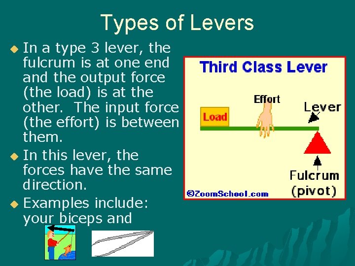 Types of Levers In a type 3 lever, the fulcrum is at one end