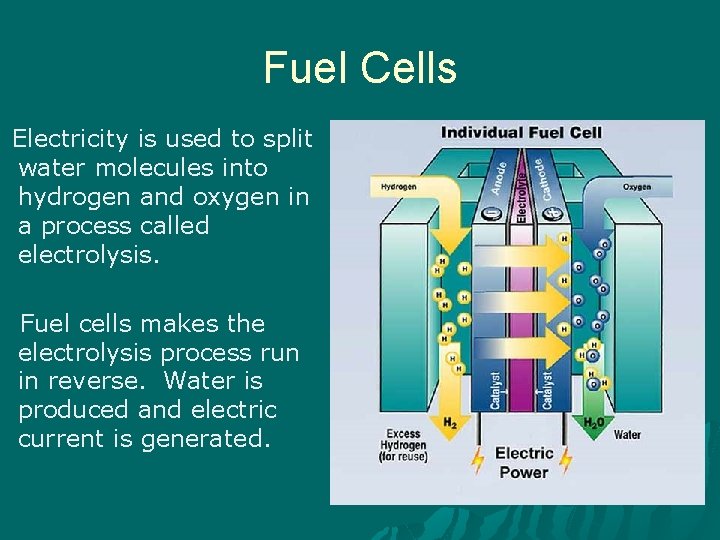 Fuel Cells Electricity is used to split water molecules into hydrogen and oxygen in
