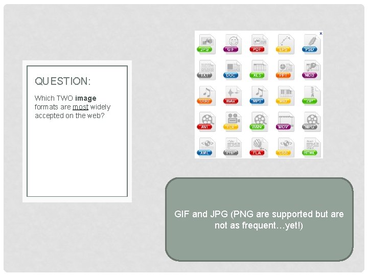 QUESTION: Which TWO image formats are most widely accepted on the web? GIF and