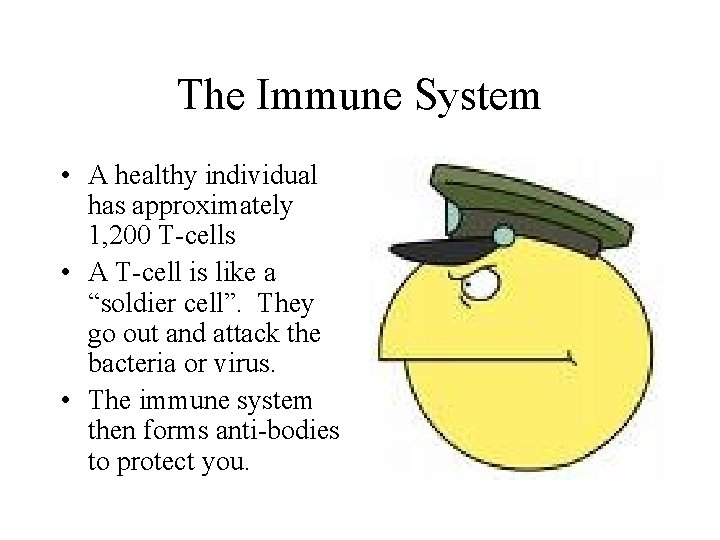 The Immune System • A healthy individual has approximately 1, 200 T-cells • A