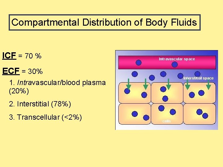 Compartmental Distribution of Body Fluids ICF = 70 % ECF = 30% 1. Intravascular/blood Compartmental Distribution of Body Fluids ICF = 70 % ECF = 30% 1. Intravascular/blood