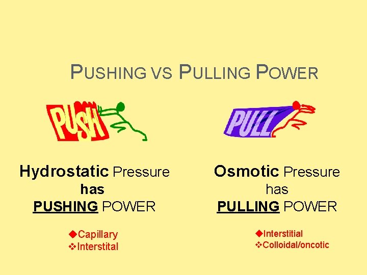 PUSHING VS PULLING POWER Hydrostatic Pressure Osmotic Pressure has PUSHING POWER has PULLING POWER PUSHING VS PULLING POWER Hydrostatic Pressure Osmotic Pressure has PUSHING POWER has PULLING POWER