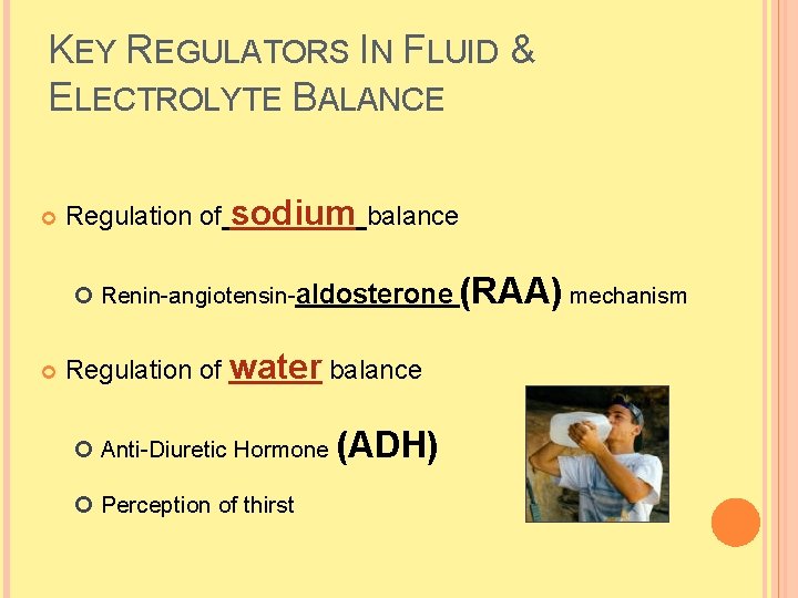 KEY REGULATORS IN FLUID & ELECTROLYTE BALANCE Regulation of sodium balance Renin-angiotensin-aldosterone (RAA) mechanism KEY REGULATORS IN FLUID & ELECTROLYTE BALANCE Regulation of sodium balance Renin-angiotensin-aldosterone (RAA) mechanism