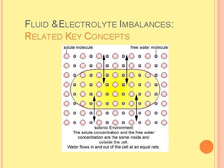 FLUID & ELECTROLYTE IMBALANCES: RELATED KEY CONCEPTS  FLUID & ELECTROLYTE IMBALANCES: RELATED KEY CONCEPTS