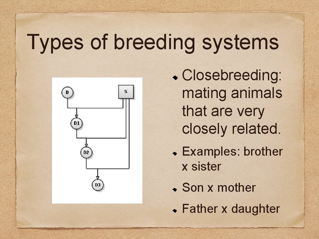 Types of breeding systems Closebreeding: mating animals that are very closely related. Examples: brother