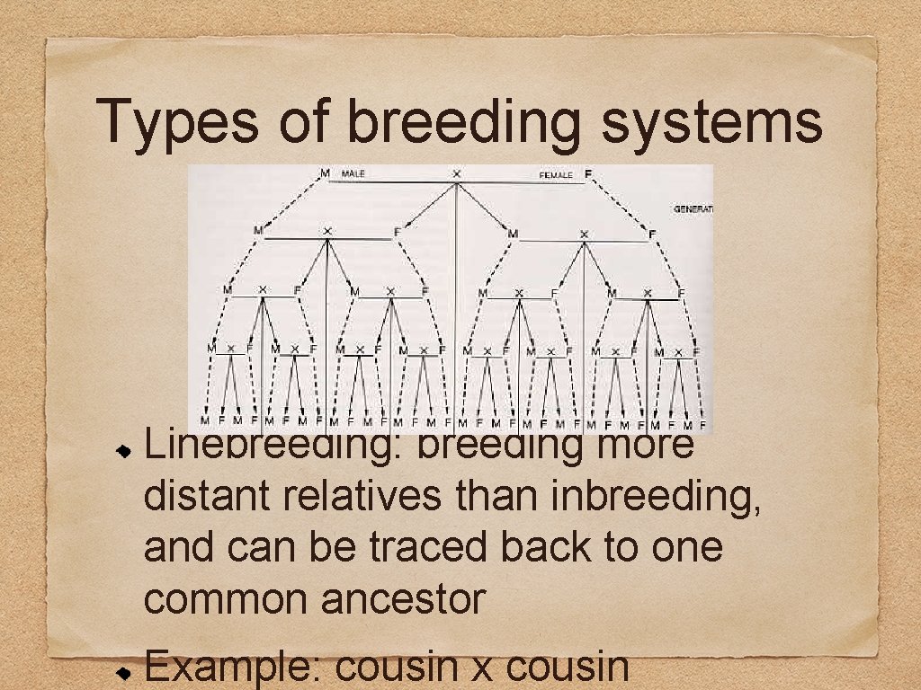 Types of breeding systems Linebreeding: breeding more distant relatives than inbreeding, and can be