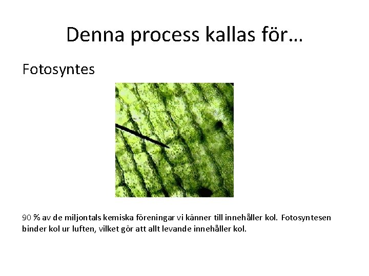 Denna process kallas för… Fotosyntes 90 % av de miljontals kemiska föreningar vi känner