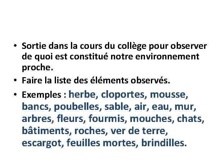  • Sortie dans la cours du collège pour observer de quoi est constitué