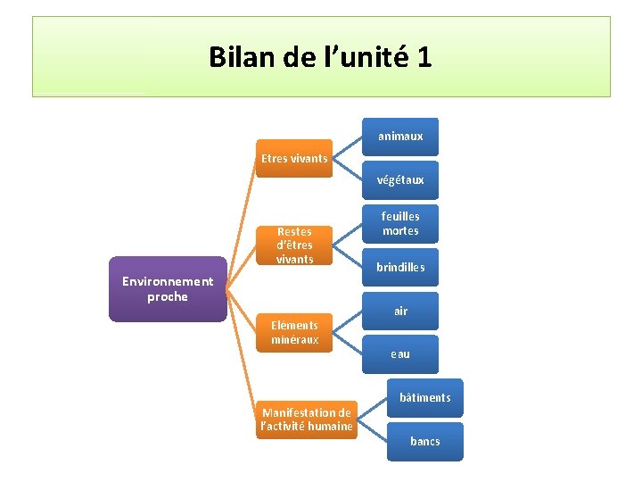 Bilan de l’unité 1 animaux Etres vivants végétaux Restes d’êtres vivants Environnement proche Eléments