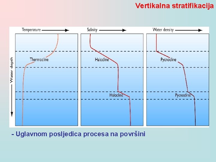Vertikalna stratifikacija - Uglavnom posljedica procesa na površini 
