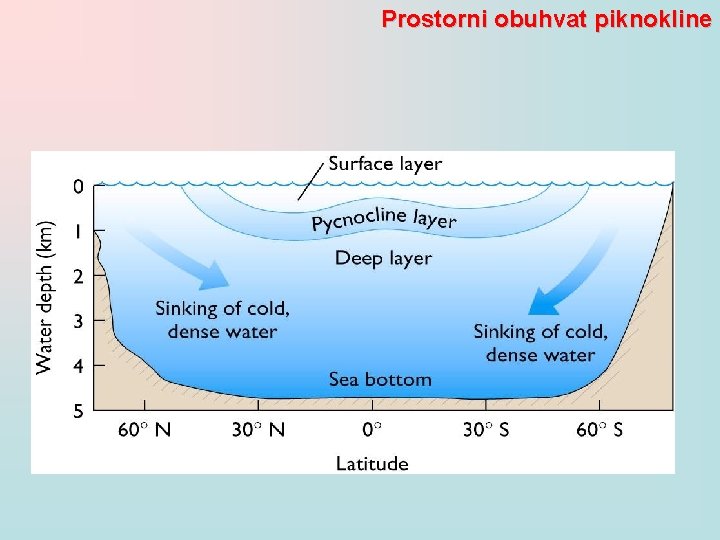 Prostorni obuhvat piknokline 