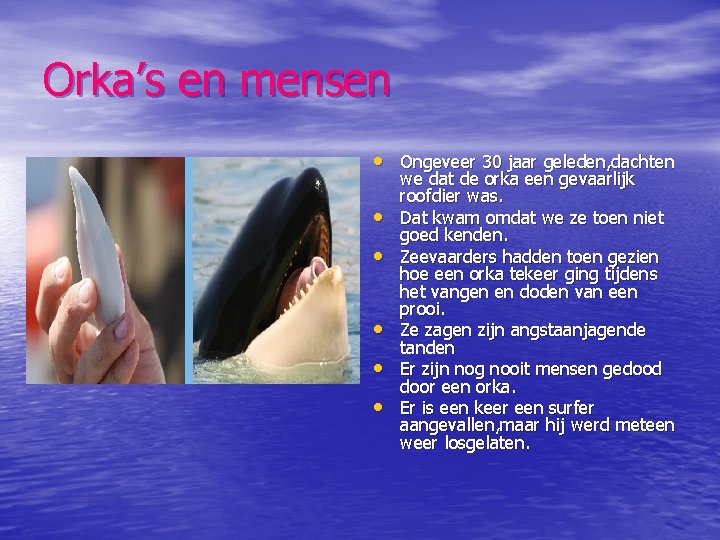 Orka’s en mensen • Ongeveer 30 jaar geleden, dachten • • • we dat