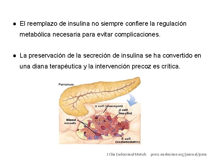 ● El reemplazo de insulina no siempre confiere la regulación metabólica necesaria para evitar