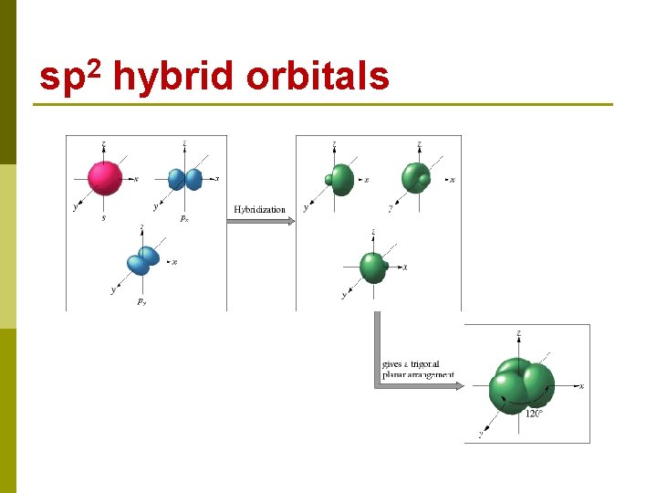 sp 2 hybrid orbitals 