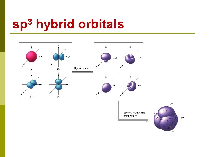 sp 3 hybrid orbitals 