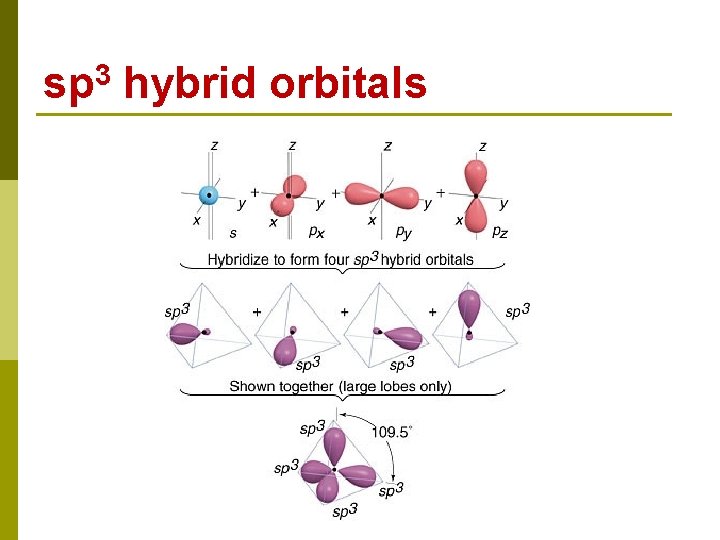 sp 3 hybrid orbitals 