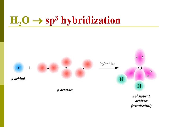 H 2 O 3 sp hybridization 