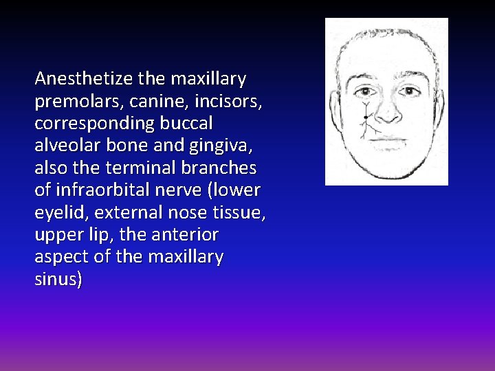 Anesthetize the maxillary premolars, canine, incisors, corresponding buccal alveolar bone and gingiva, also the