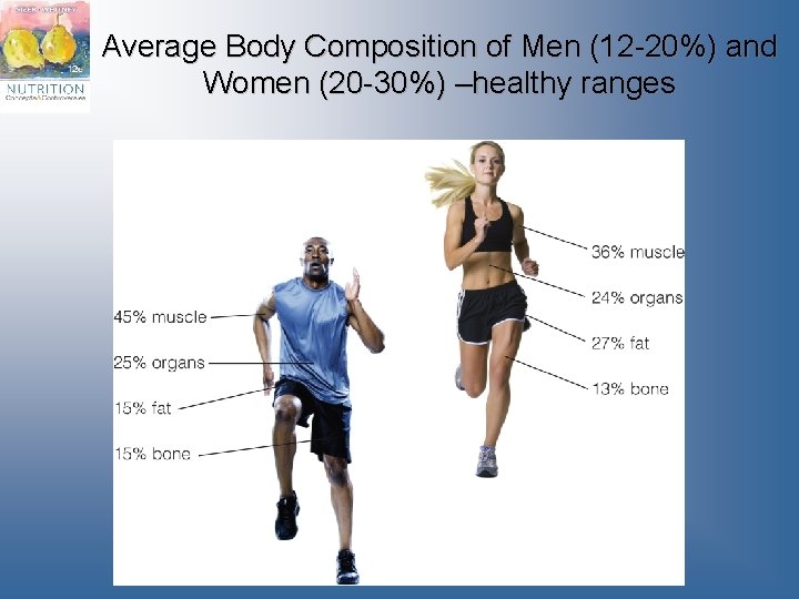 Average Body Composition of Men (12 -20%) and Women (20 -30%) –healthy ranges 