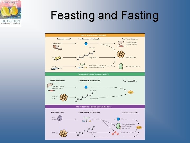 Feasting and Fasting 