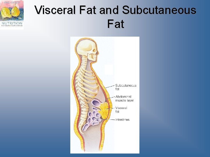 Visceral Fat and Subcutaneous Fat 