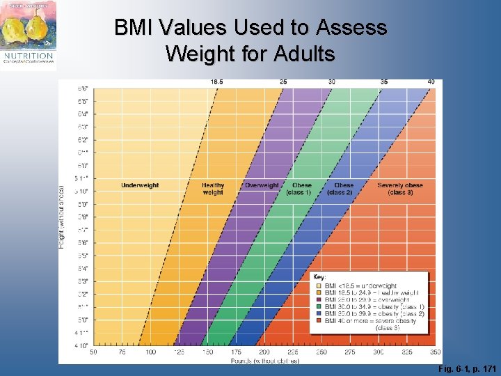 BMI Values Used to Assess Weight for Adults Fig. 6 -1, p. 171 