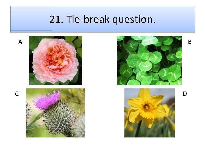 21. Tie-break question. A C B D 