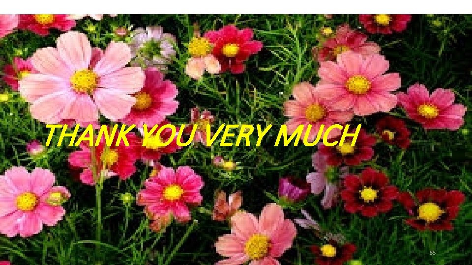 THANK YOU VERY MUCH 55 THANK YOU VERY MUCH 55