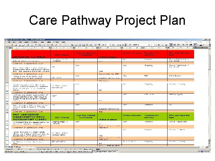 Care Pathway Project Plan 