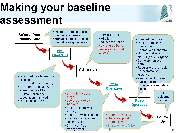 Making your baseline assessment Referral from Primary Care • Optimising pre operative haemoglobin levels