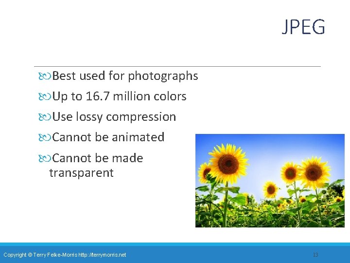 JPEG Best used for photographs Up to 16. 7 million colors Use lossy compression
