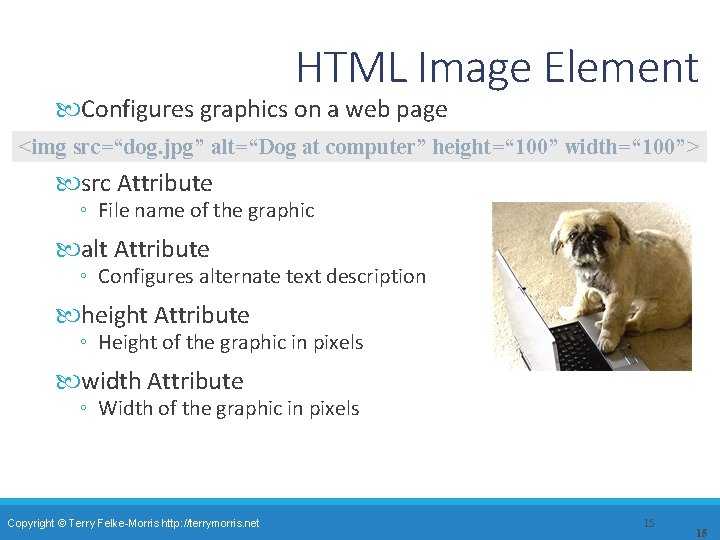 HTML Image Element Configures graphics on a web page <img src=“dog. jpg” alt=“Dog at
