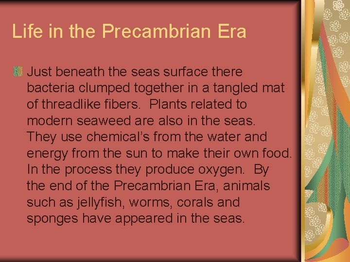 Life in the Precambrian Era Just beneath the seas surface there bacteria clumped together