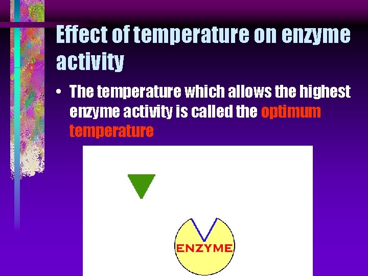 Effect of temperature on enzyme activity • The temperature which allows the highest enzyme