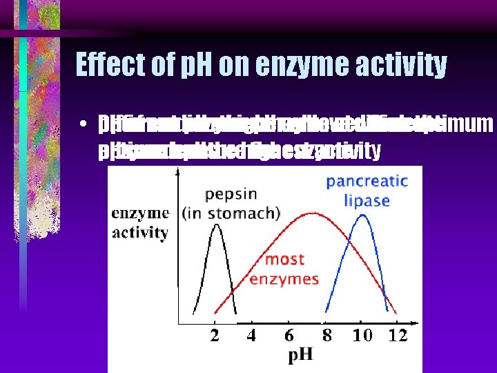Effect of p. H on enzyme activity • Different p. H of medium Optimum