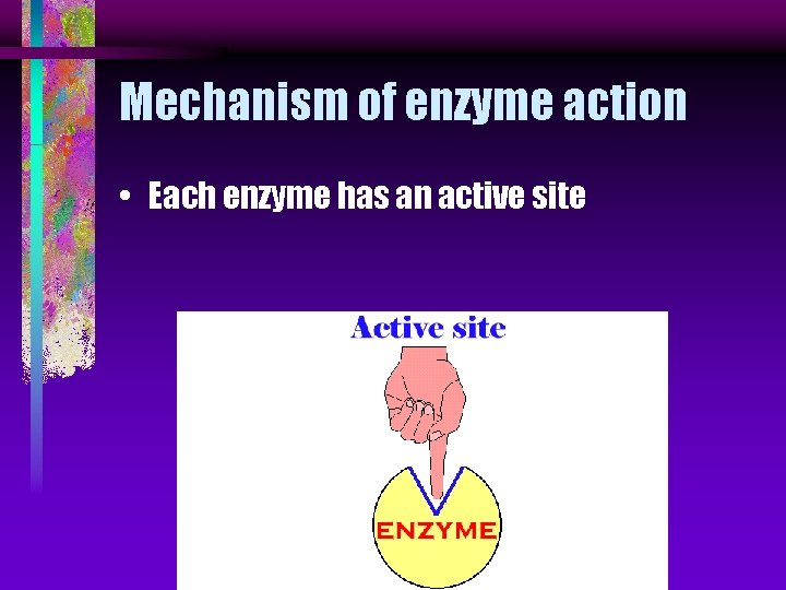 Mechanism of enzyme action • Each enzyme has an active site 