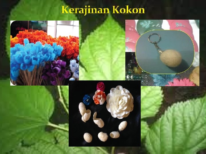 Kerajinan Kokon 