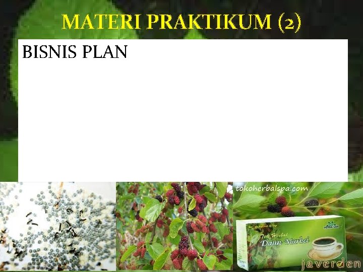 MATERI PRAKTIKUM (2) BISNIS PLAN 