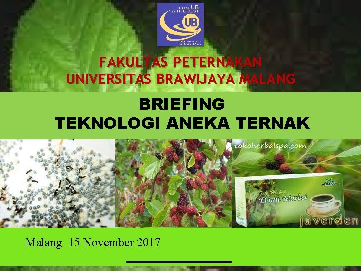 FAKULTAS PETERNAKAN UNIVERSITAS BRAWIJAYA MALANG BRIEFING TEKNOLOGI ANEKA TERNAK Malang 15 November 2017 