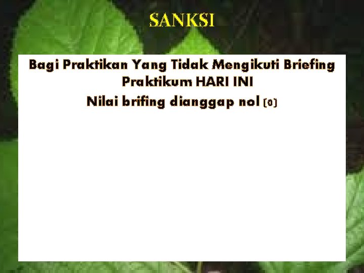 SANKSI Bagi Praktikan Yang Tidak Mengikuti Briefing Praktikum HARI INI Nilai brifing dianggap nol