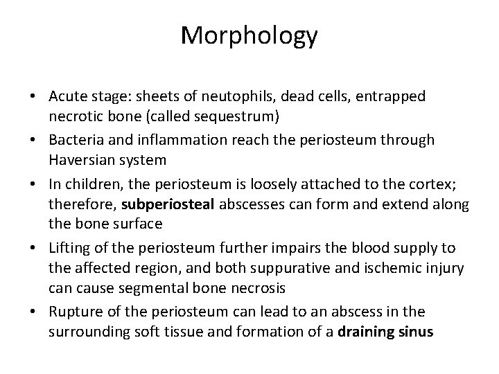 Morphology • Acute stage: sheets of neutophils, dead cells, entrapped necrotic bone (called sequestrum)