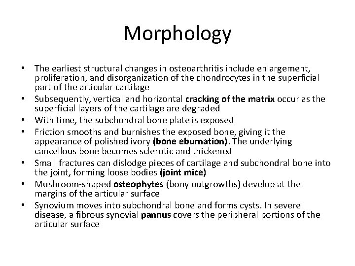 Morphology • The earliest structural changes in osteoarthritis include enlargement, proliferation, and disorganization of