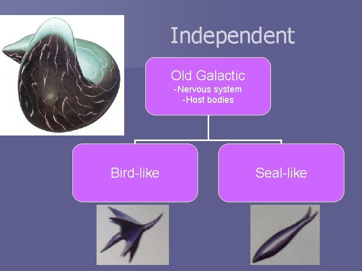 Independent Old Galactic -Nervous system -Host bodies Bird-like Seal-like 