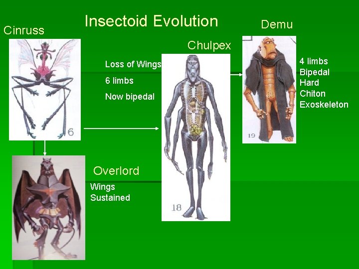 Cinruss Insectoid Evolution Demu Chulpex Loss of Wings 6 limbs Now bipedal Overlord Wings