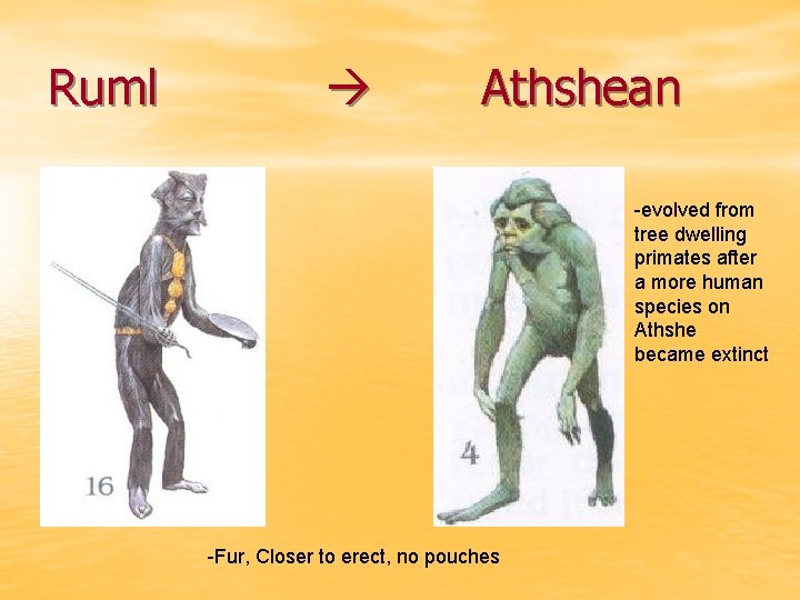 Ruml Athshean -evolved from tree dwelling primates after a more human species on Athshe