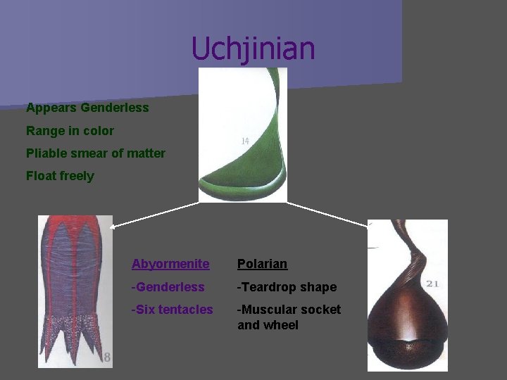 Uchjinian Appears Genderless Range in color Pliable smear of matter Float freely Abyormenite Polarian