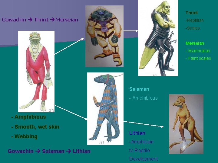 Thrint Gowachin Thrint Merseian -Reptilian -Scales Merseian - Mammalian - Faint scales Salaman -