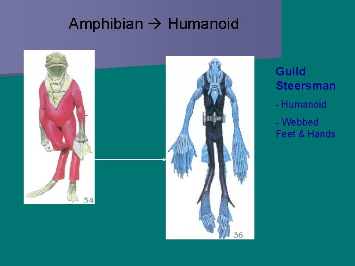 Amphibian Humanoid Guild Steersman - Humanoid - Webbed Feet & Hands 